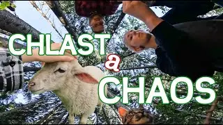 Šli jsme na pár dní do lesa, a takhle to dopadlo! xD BESKYDY