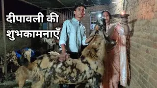 दीपावली की शुभकामनाएँ ।। Diwali ki subhkamyen। #omprakashausar #happydiwali