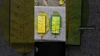 Samsung Galaxy S23 Vs S24 Ultra Screen Test 😵 #shorts