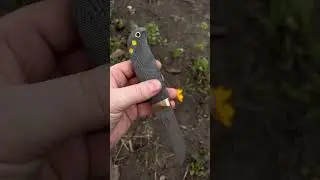 Puukko - CPM Magnacut