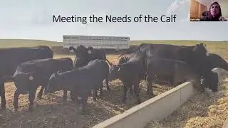 Tips for Confined Feeding Success