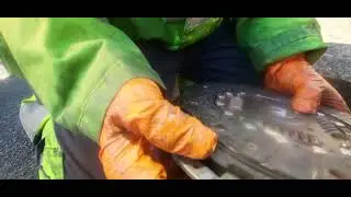 how to set up clutch kit alignment tool never seen on YouTube channel b4