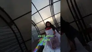 Картошка Марьи Ивановны. Купил не раздумывая. Добрые люди.