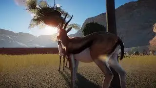 Planet Zoo (PC)(English) #59 6 Minutes of Thomson's Gazelle