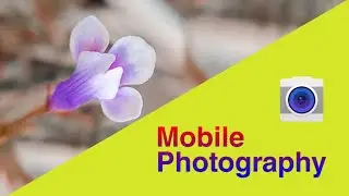 Mobile Photography 2021 || Wild Tiny Grass with Mobile Shot