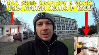 Renting a Home in the Czech Republic / How to Rent an Apartment in the Czech Republic / Refugees ...