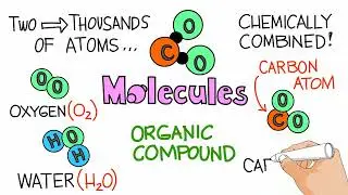 Classifying Substances | ScienceWithMe! | Having fun doing science together.