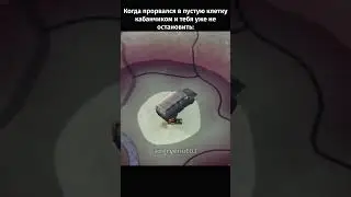 Летим кабанчиком, та самая одна клетка 