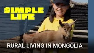 Urbanites trade the city for a healthier rural life | Mongolia