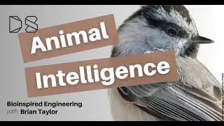 Bioinspired Engineering