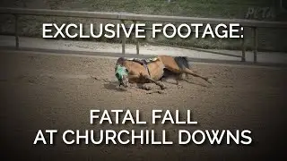Exclusive Footage: Fatal Fall At Churchill Downs
