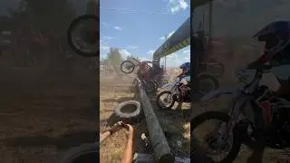 Дубрава 2024 класс Лайт