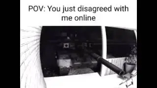POV: you disagree with me online