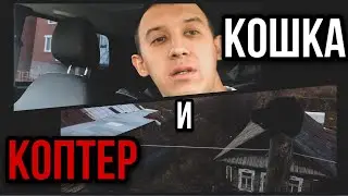 Кошка на столбе vs Квадрокоптер