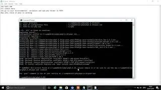 Pear installation on wamp server Windows 10
