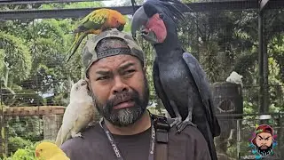 First Time ko Makahawak ng Malaking Bird