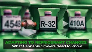 Adapting to Refrigerant Changes: What Cannabis Growers Need to Know