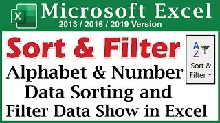 How to Sort and Filter in Excel
