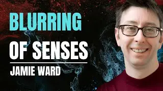 Synesthesia: Smelling Sounds, Tasting Colours & Other Mixed Senses