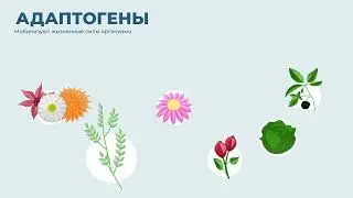 Vertera Gel Forte - на основое ламинарии и фукуса для долголетия
