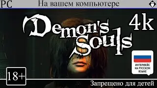 Demon's Souls on PC for everyone