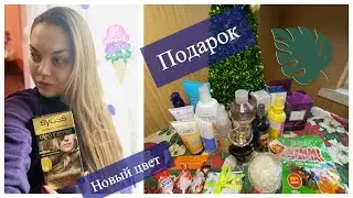 🔥ПОКРАСИЛАСЬ🙎‍♀️ПОДАРОК ОТ АЛЁНЫ ЗЕРКАЛЬНОЙ🎁