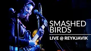 Sóley - Smashed Birds (Live @ Volta Openning) Reykjavik.