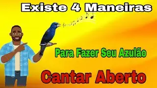 Como Fazer o Azulão Cantar, Simples e Facil