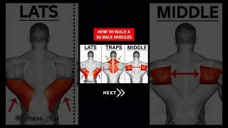 How to Build a 3D BACK!