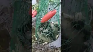Рыбалка на речке
