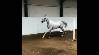 Свободное напрыгивание. Шпринтгартен.