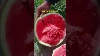 #yummy @hellosaniata3390 #viral #viralshort