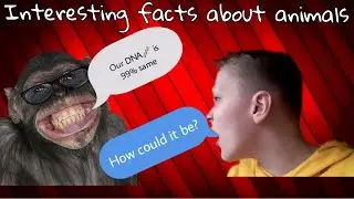 The most interesting facts about animals pt.1