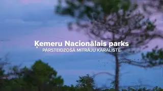 Ķemeri National Park – THE AMAZING KINGDOM OF WETLANDS