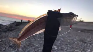 Морская рыбалка с берега на черном море
