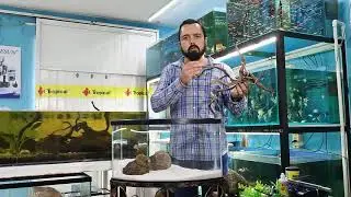 🐠🐟Como instalar un acuario correctamente 🐟🐠🐚