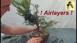 Airlayers!