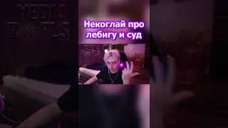 НЕКОГЛАЙ ПРО ЛЕБИГУ, СУД И СКВАД