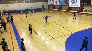 Дюжина-Арарат