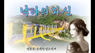 낙타의 화신 - 진서심의 