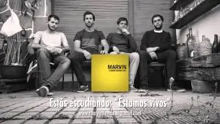 Marvin - 