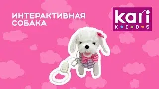 Обзор интерактивной собаки 