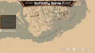 Red Dead Redemption 2 Gathering Collectibles (part 2)