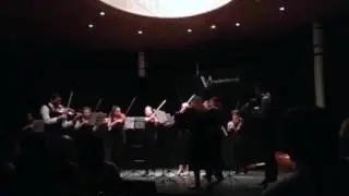 Viola Fight