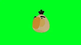Angry bird (white) dancing green screen