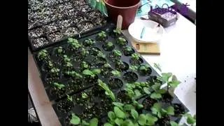 Lisa味道 復活節有機農莊工作坊