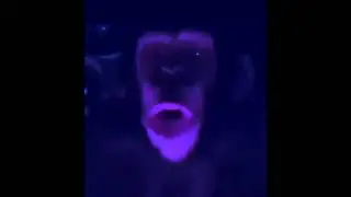 Whose Toes Are Those (Vocoded)