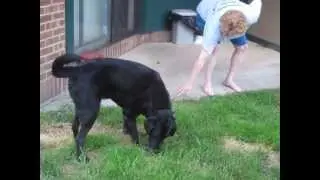 Talon playing 2