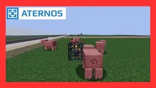 Spawner aktivieren in der CityBuild Welt