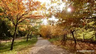 PERUGIA FOLIAGE AL PERCORSO VERDE - Full HD